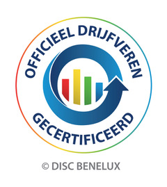 DISC en DRIJVEREN coaching door Zondagskinderen